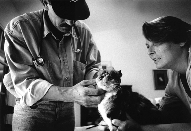 Veterinarian7 - 1995