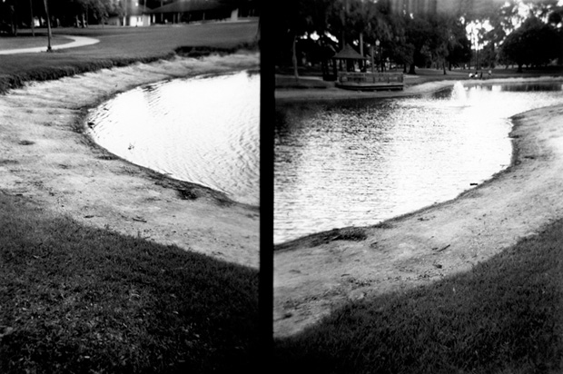 GillespieParkDrought2 (Holga) - 2000