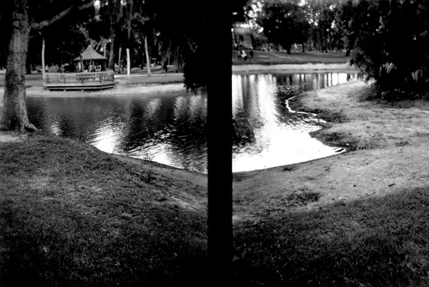 GillespieParkDrought3 (Holga) - 2000