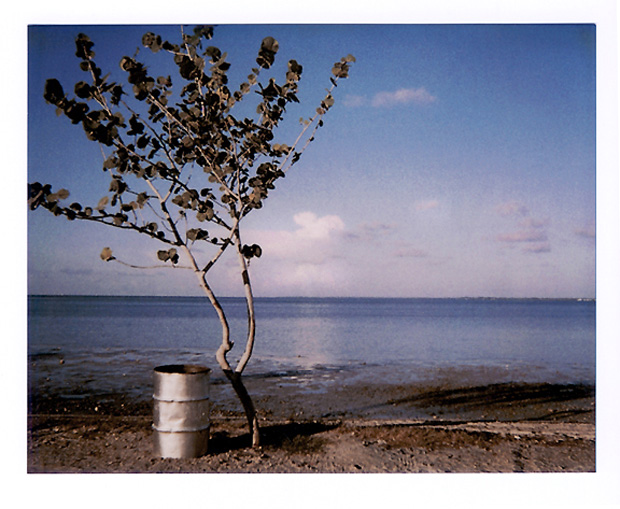 NiceTrashcan Polaroid c.1989